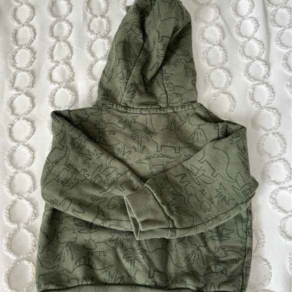 Carter's Green Dinosaur Hoodie Set - Picture 5 of 9